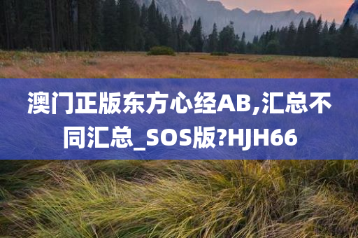 澳门正版东方心经AB,汇总不同汇总_SOS版?HJH66