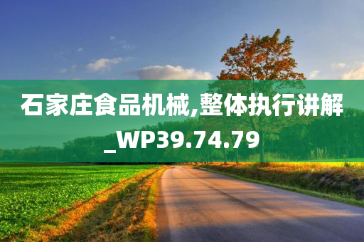 石家庄食品机械,整体执行讲解_WP39.74.79