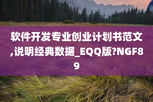 软件开发专业创业计划书范文,说明经典数据_EQQ版?NGF89