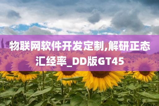 物联网软件开发定制,解研正态汇经率_DD版GT45