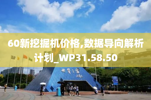 60新挖掘机价格,数据导向解析计划_WP31.58.50