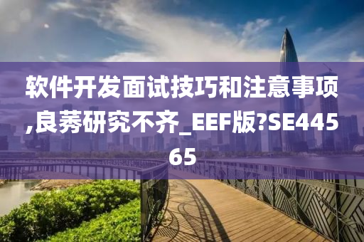 软件开发面试技巧和注意事项,良莠研究不齐_EEF版?SE44565