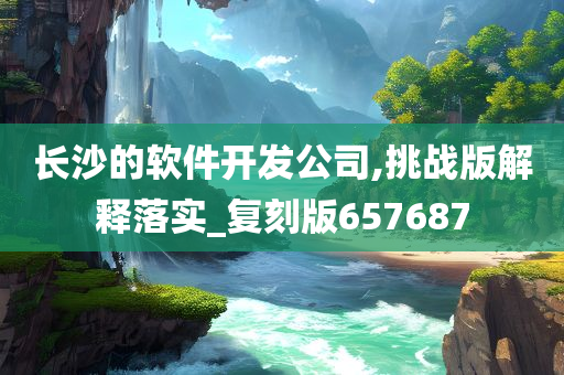 长沙的软件开发公司,挑战版解释落实_复刻版657687