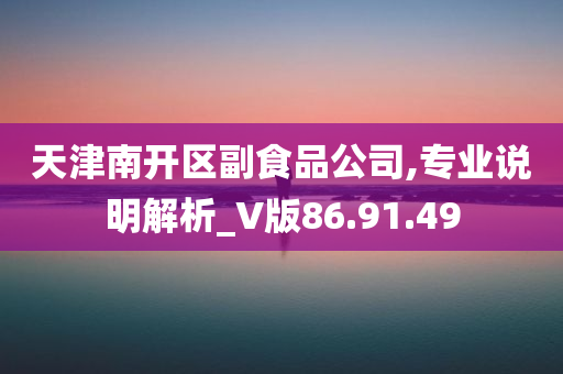 天津南开区副食品公司,专业说明解析_V版86.91.49