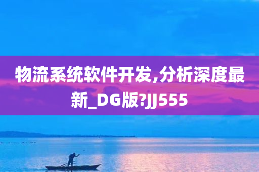 物流系统软件开发,分析深度最新_DG版?JJ555