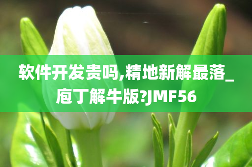 软件开发贵吗,精地新解最落_庖丁解牛版?JMF56