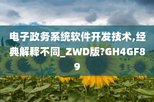 电子政务系统软件开发技术,经典解释不同_ZWD版?GH4GF89