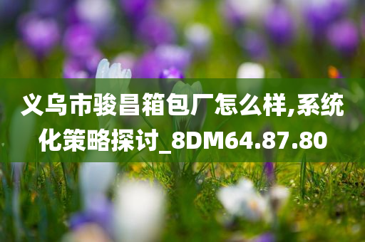 义乌市骏昌箱包厂怎么样,系统化策略探讨_8DM64.87.80