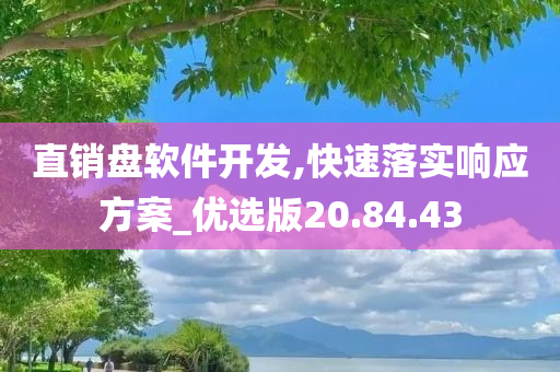 直销盘软件开发,快速落实响应方案_优选版20.84.43