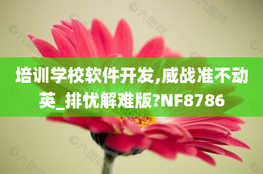 培训学校软件开发,威战准不动英_排忧解难版?NF8786