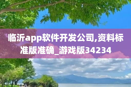 临沂app软件开发公司,资料标准版准确_游戏版34234