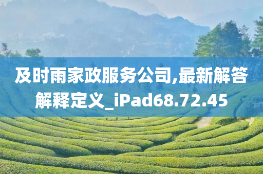 及时雨家政服务公司,最新解答解释定义_iPad68.72.45