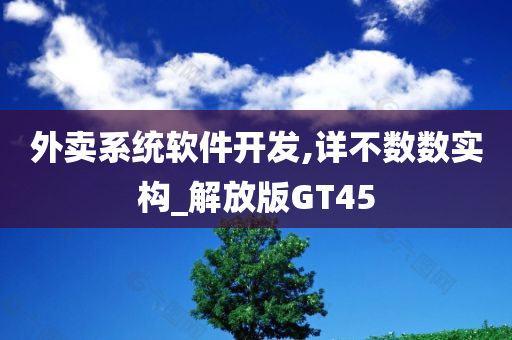 外卖系统软件开发,详不数数实构_解放版GT45