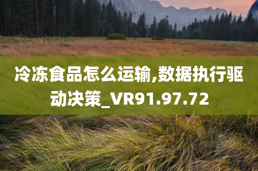 冷冻食品怎么运输,数据执行驱动决策_VR91.97.72