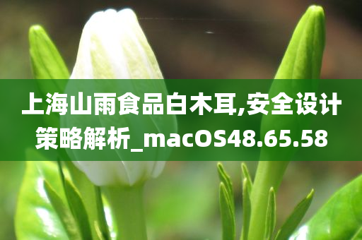 上海山雨食品白木耳,安全设计策略解析_macOS48.65.58