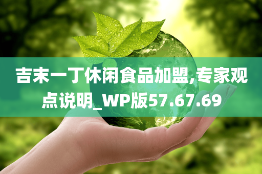 吉末一丁休闲食品加盟,专家观点说明_WP版57.67.69