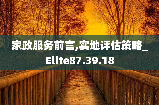 家政服务前言,实地评估策略_Elite87.39.18