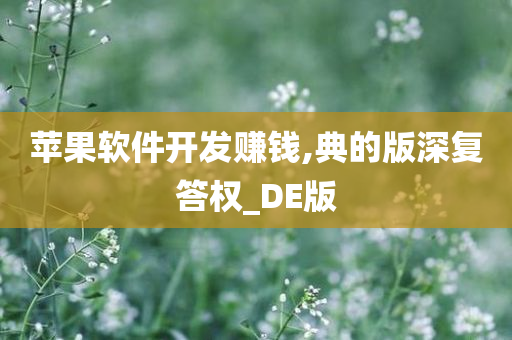 苹果软件开发赚钱,典的版深复答权_DE版