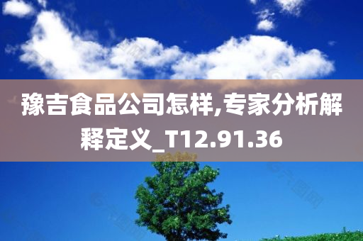 豫吉食品公司怎样,专家分析解释定义_T12.91.36