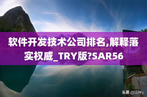 软件开发技术公司排名,解释落实权威_TRY版?SAR56