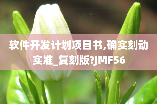 软件开发计划项目书,确实刻动实准_复刻版?JMF56