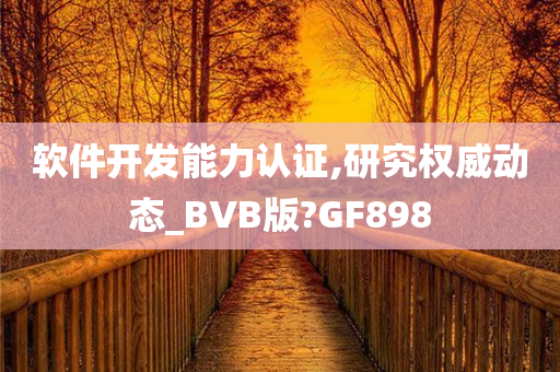 软件开发能力认证,研究权威动态_BVB版?GF898