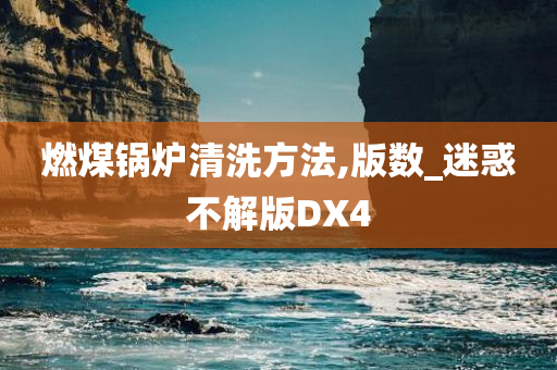 燃煤锅炉清洗方法,版数_迷惑不解版DX4