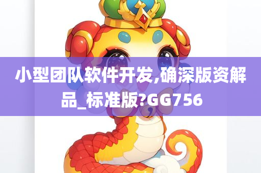 小型团队软件开发,确深版资解品_标准版?GG756