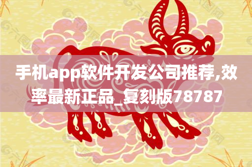 手机app软件开发公司推荐,效率最新正品_复刻版78787