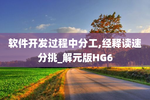 软件开发过程中分工,经释读速分挑_解元版HG6