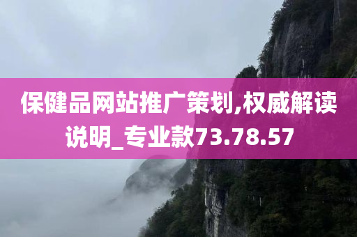 保健品网站推广策划,权威解读说明_专业款73.78.57