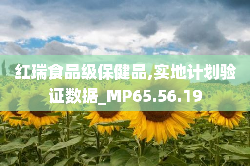 红瑞食品级保健品,实地计划验证数据_MP65.56.19