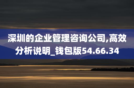 深圳的企业管理咨询公司,高效分析说明_钱包版54.66.34