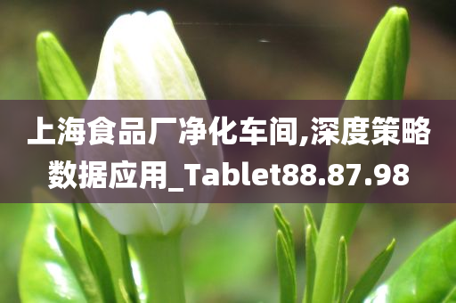 上海食品厂净化车间,深度策略数据应用_Tablet88.87.98