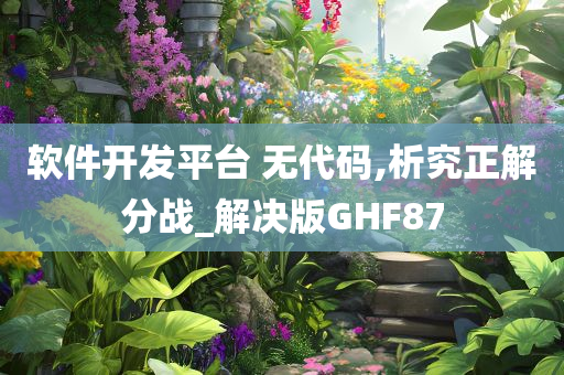 软件开发平台 无代码,析究正解分战_解决版GHF87