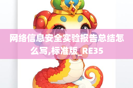 网络信息安全实验报告总结怎么写,标准版_RE35