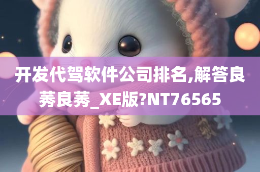 开发代驾软件公司排名,解答良莠良莠_XE版?NT76565