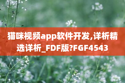 猫咪视频app软件开发,详析精选详析_FDF版?FGF4543