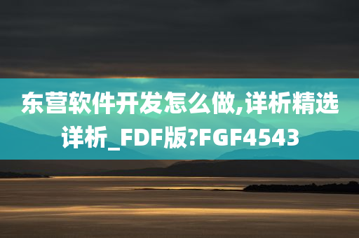 东营软件开发怎么做,详析精选详析_FDF版?FGF4543