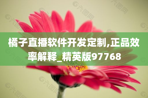 橘子直播软件开发定制,正品效率解释_精英版97768