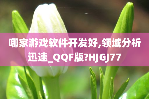 哪家游戏软件开发好,领域分析迅速_QQF版?HJGJ77