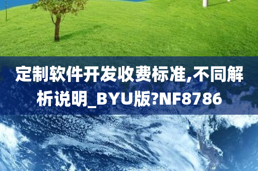 定制软件开发收费标准,不同解析说明_BYU版?NF8786