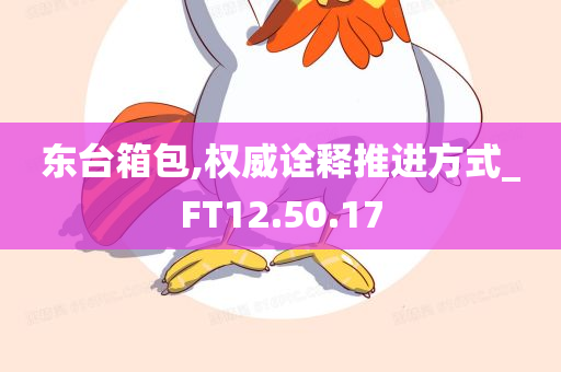 东台箱包,权威诠释推进方式_FT12.50.17