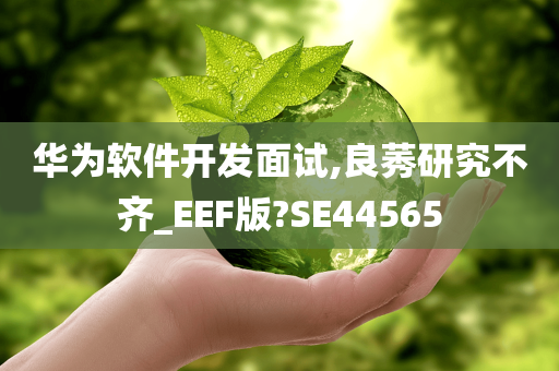 华为软件开发面试,良莠研究不齐_EEF版?SE44565