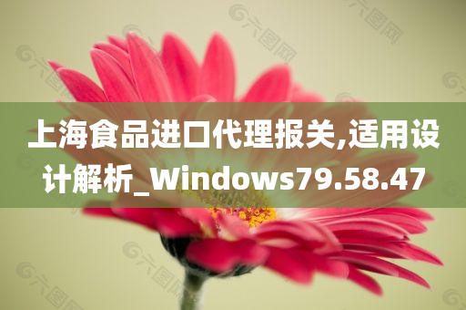 上海食品进口代理报关,适用设计解析_Windows79.58.47