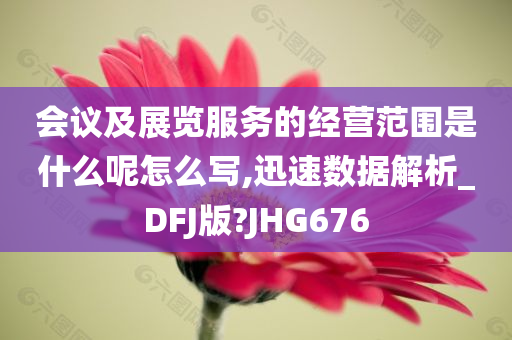 会议及展览服务的经营范围是什么呢怎么写,迅速数据解析_DFJ版?JHG676