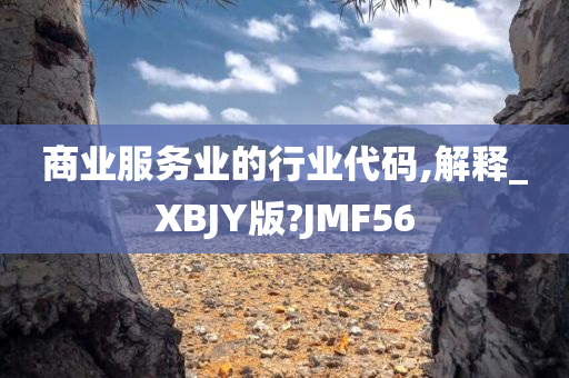 商业服务业的行业代码,解释_XBJY版?JMF56