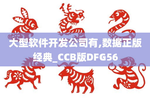 大型软件开发公司有,数据正版经典_CCB版DFG56