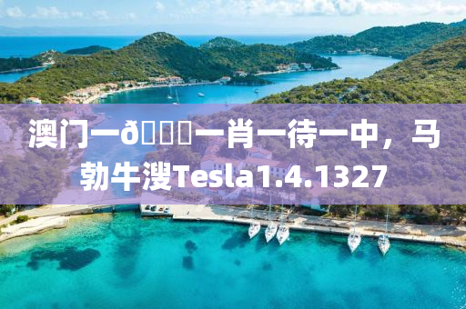 澳门一🐎一肖一待一中，马勃牛溲Tesla1.4.1327