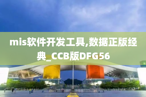 mis软件开发工具,数据正版经典_CCB版DFG56